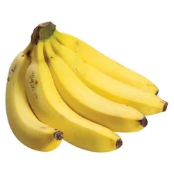 Banana Catura/nanica