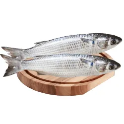 Tainha Inteiro (aprox. 2.000kg)